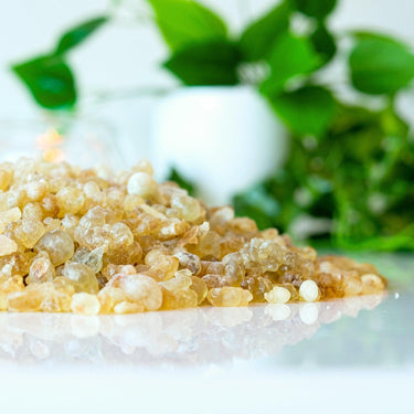 Frankincense Resin - Frankincense Pure