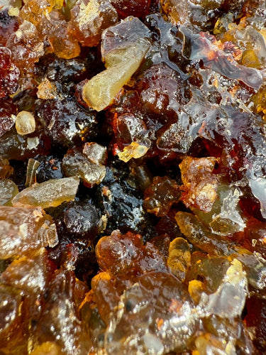 Aksha Myrrh Socotra Island Yemen (Commiphora Ornifolia)