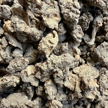 Dakkara Black Neglecta Frankincense Kenya (Boswellia Neglecta)