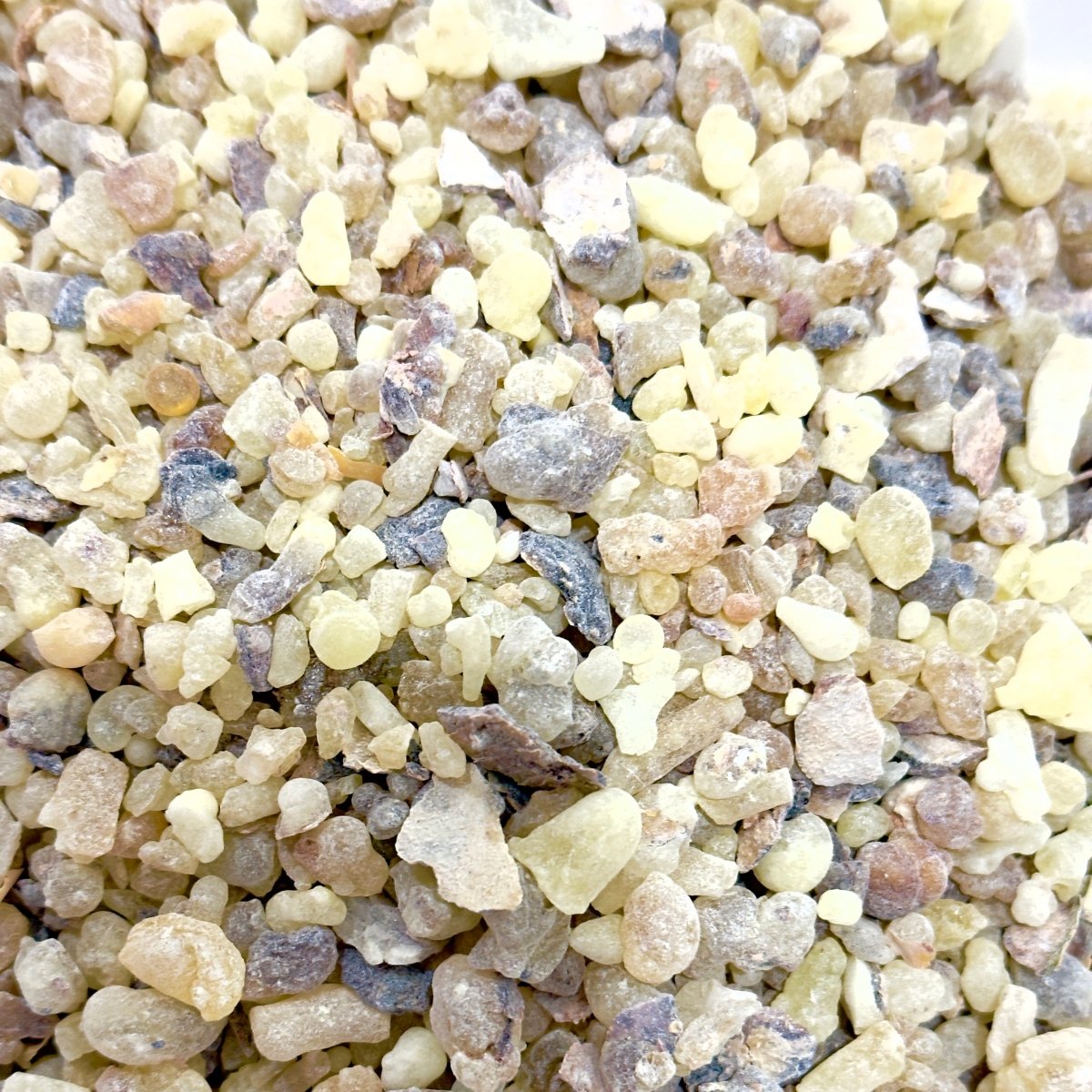 Frankincense Granules Oman (Boswellia Sacra)