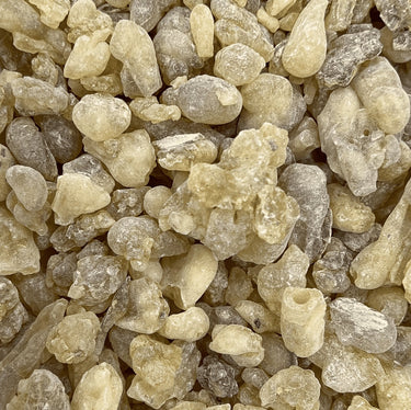 Harrabi Dalzielii Frankincense Nigeria Boswellia