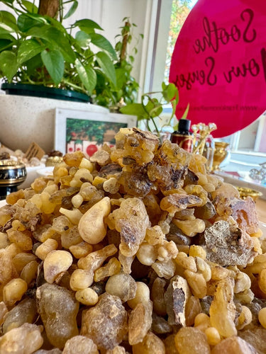 Occulta Frankincense Somalia (Boswellia Occulta)
