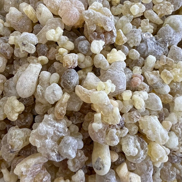 Papyrifera Frankincense Ethiopia (Boswellia Papyrifera)