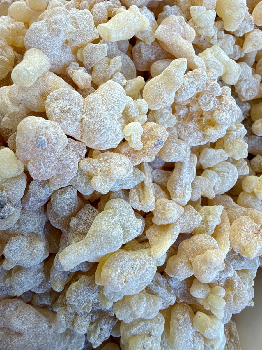 Papyrifera Frankincense Ethiopia (Boswellia Papyrifera)