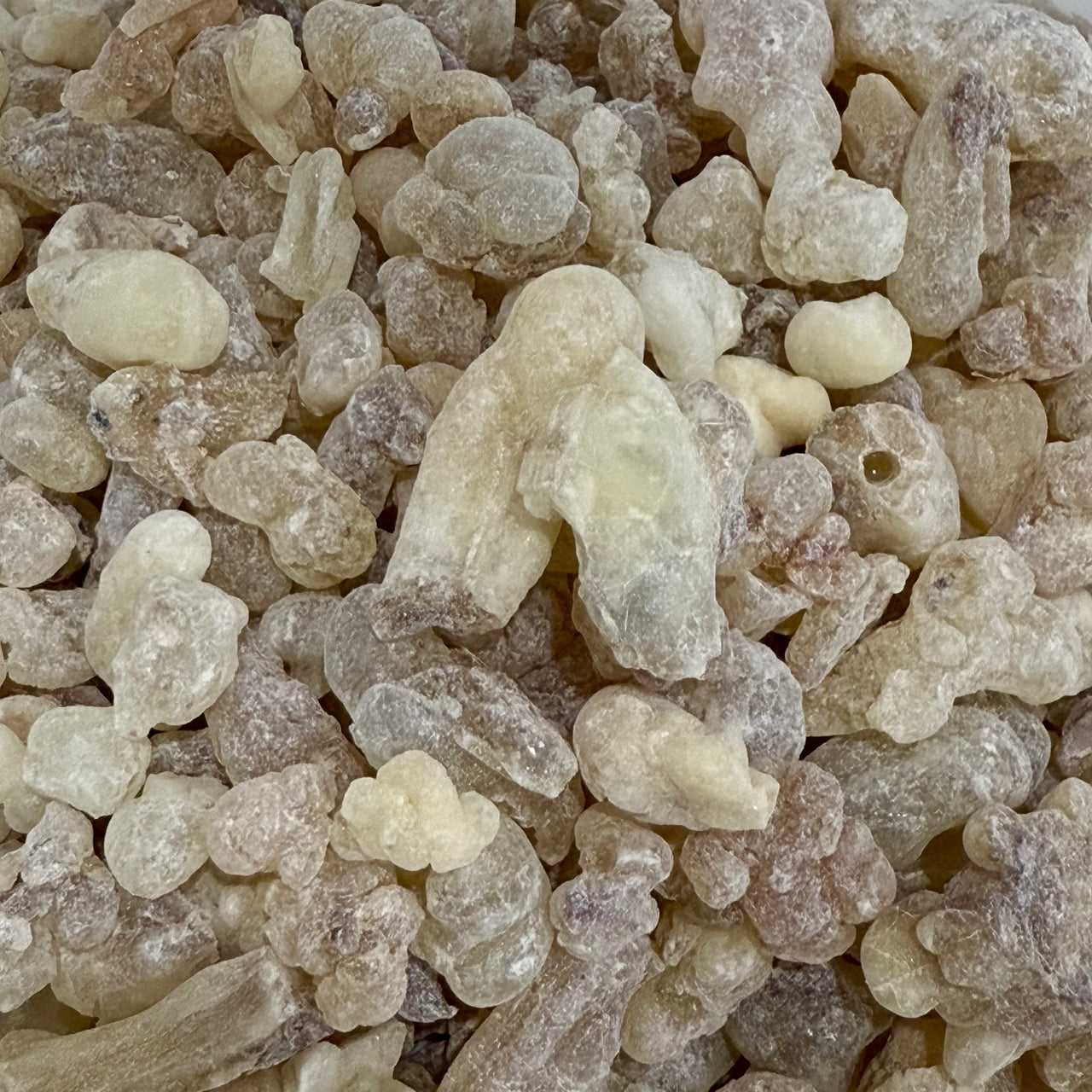 Hojari Frankincense Oman (Boswellia Sacra)