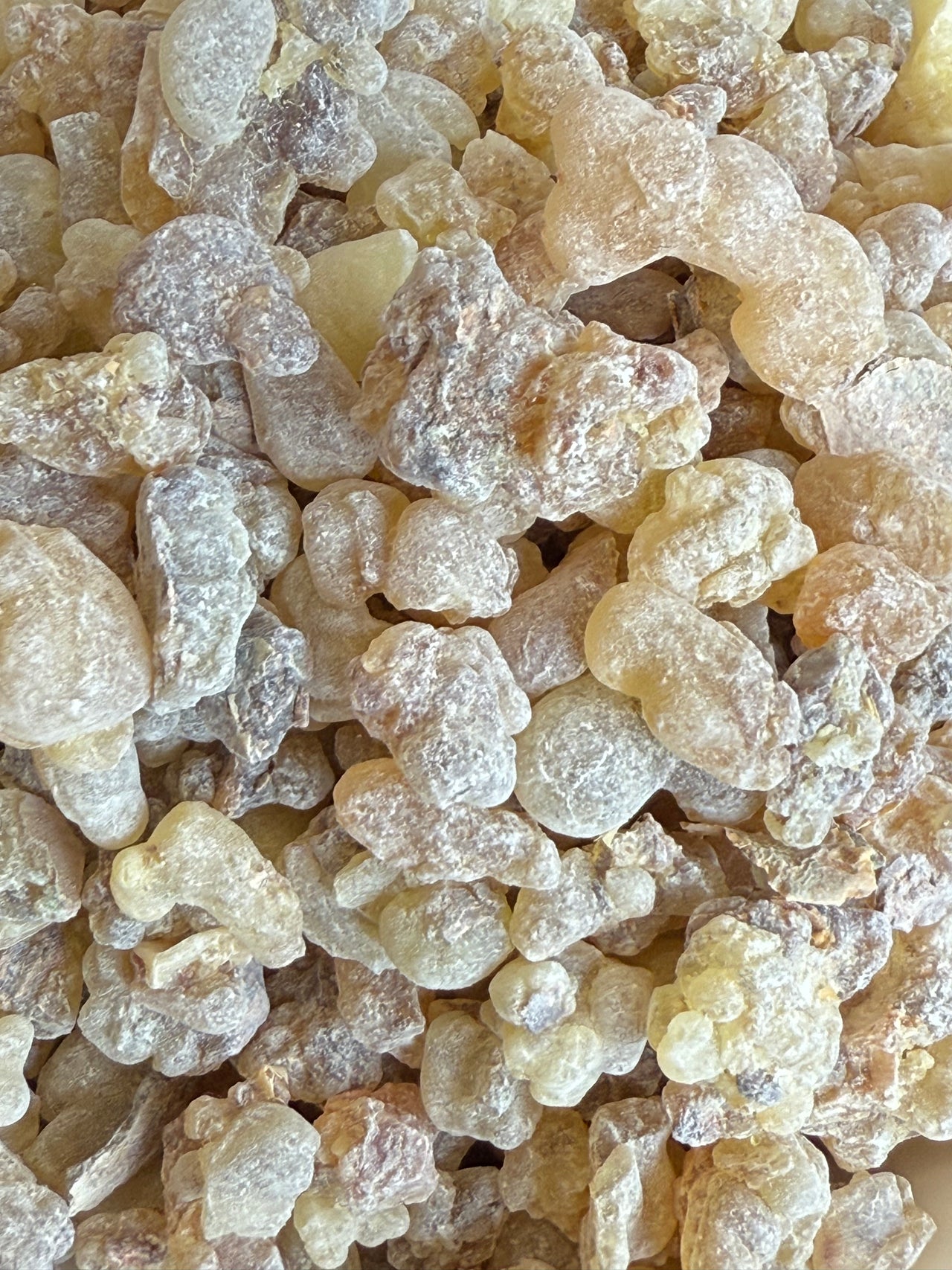 Carterii Frankincense Somalia (Boswellia Carterii)