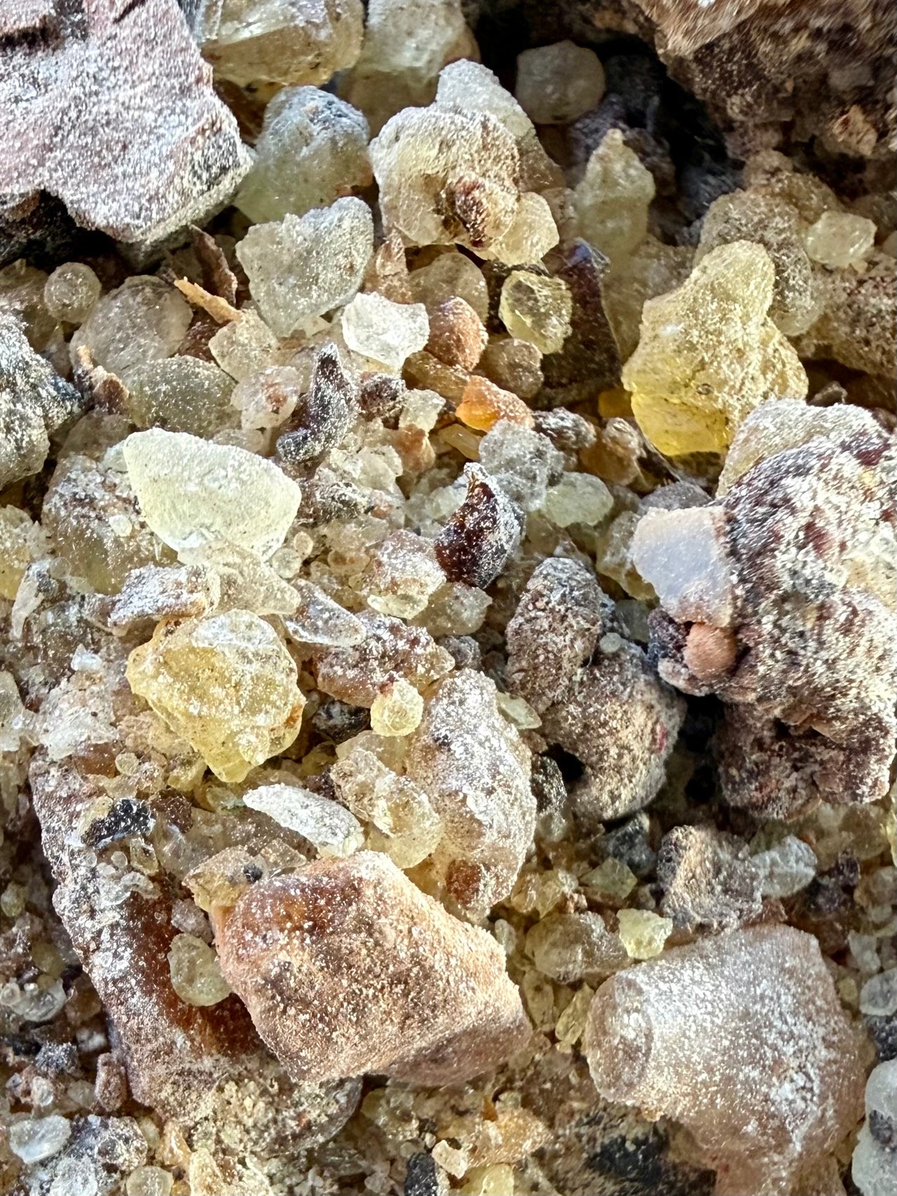 ⭐️ ULTRA RARE ⭐️ Ameero Frankincense Socotra Island Yemen (Boswellia Ameero)