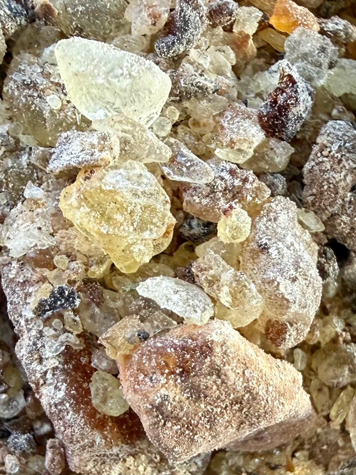 ⭐️ ULTRA RARE ⭐️ Ameero Frankincense Socotra Island Yemen (Boswellia Ameero)