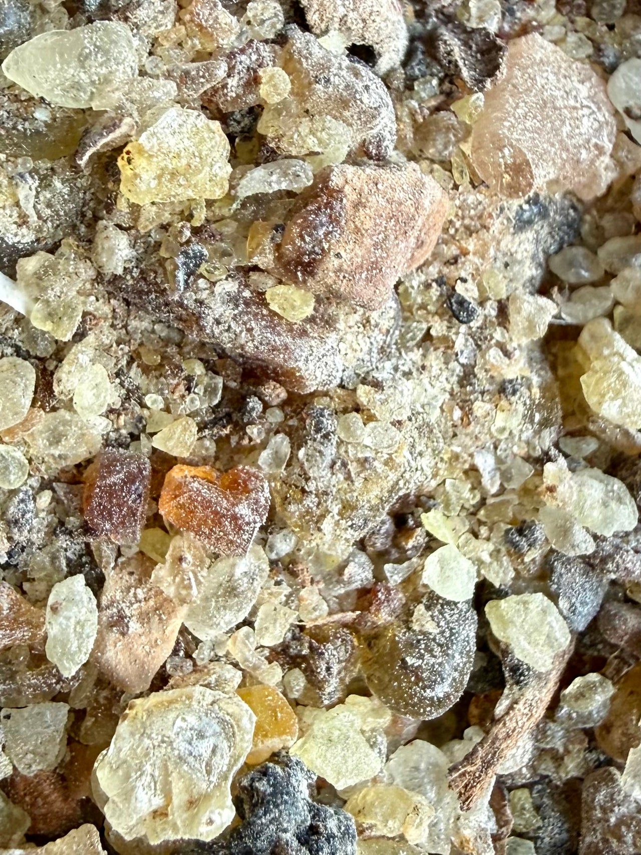 ⭐️ ULTRA RARE ⭐️ Ameero Frankincense Socotra Island Yemen (Boswellia Ameero)