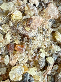 Thumbnail for ⭐️ ULTRA RARE ⭐️ Ameero Frankincense Socotra Island Yemen (Boswellia Ameero)