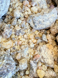 Thumbnail for ⭐️ ULTRA RARE ⭐️ Bullata Frankincense Socotra Island Yemen (Boswellia bullata)
