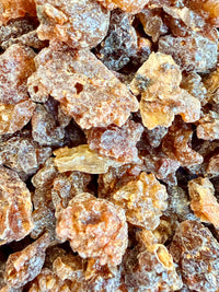 Thumbnail for Suhul Myrrh Somalia (Commiphora Myrrha)