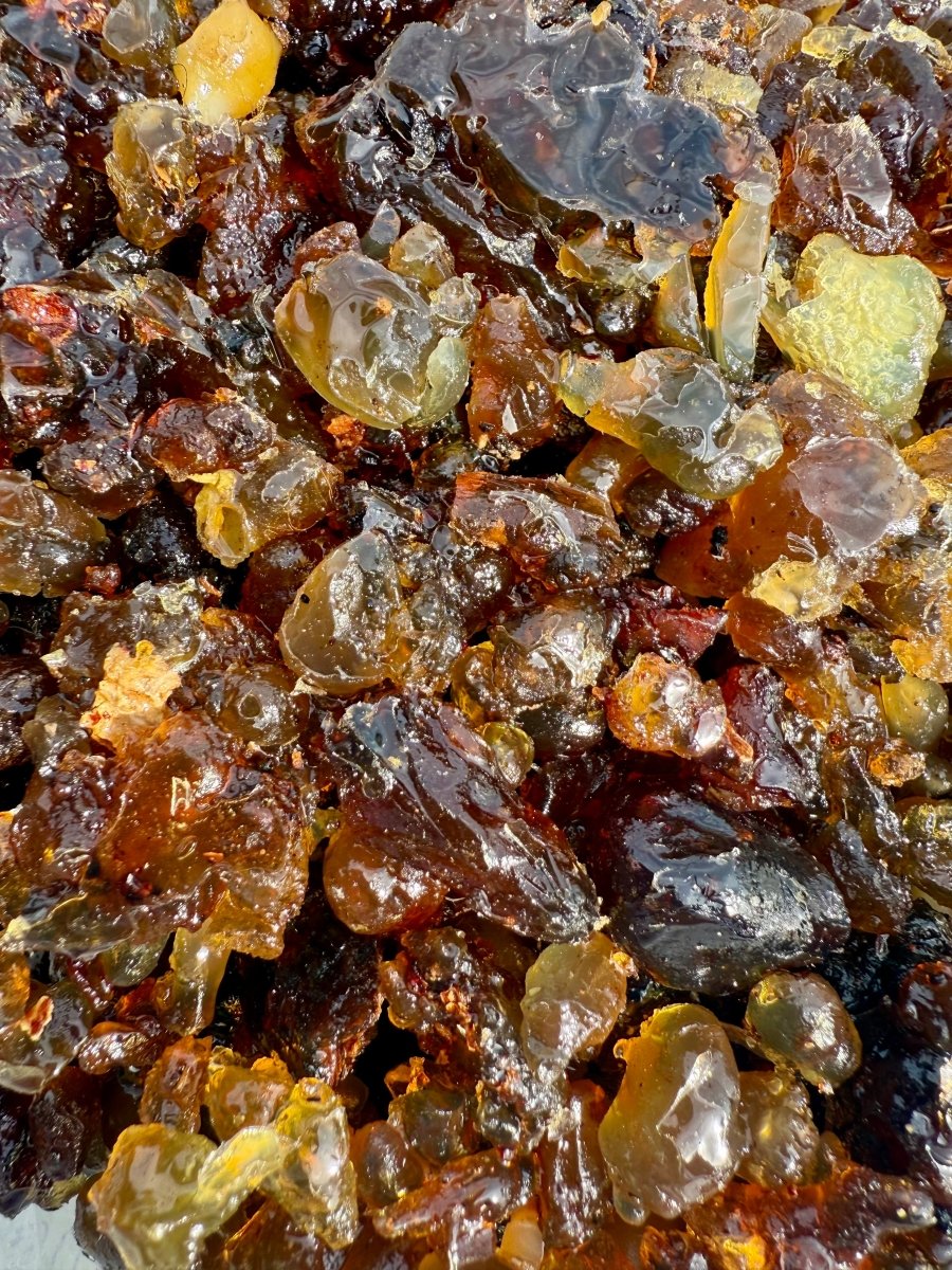 Aksha Myrrh Socotra Island Yemen (Commiphora Ornifolia)