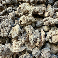 Thumbnail for Dakkara Black Neglecta Frankincense Kenya (Boswellia Neglecta)