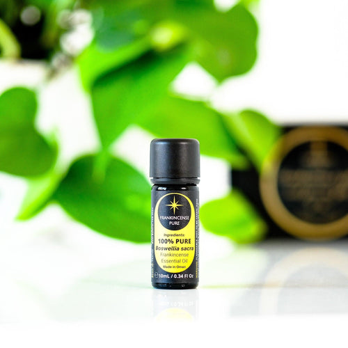 Frankincense Oil | Oman | Boswellia Sacra (100% Pure Essential Oil) - Frankincense Pure