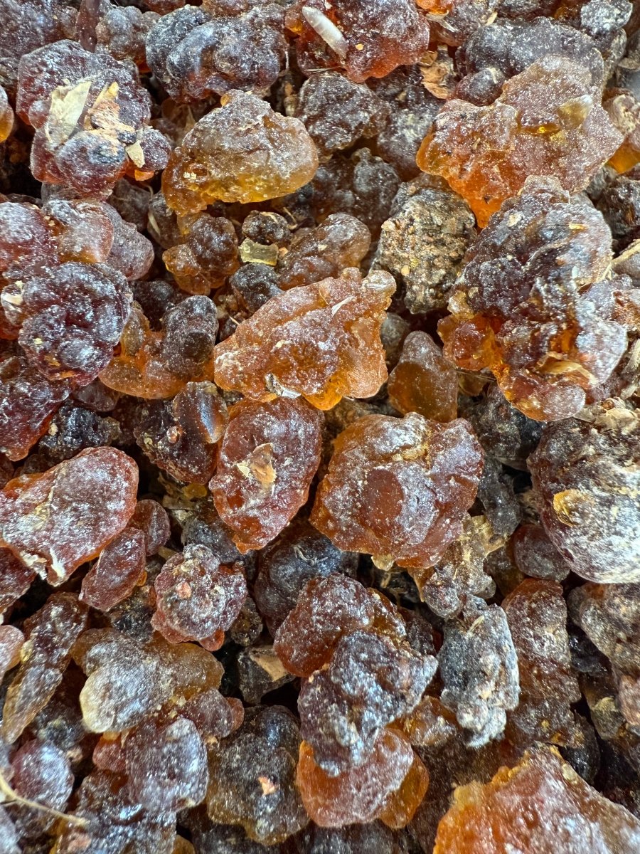 Kua Myrrh Socotra Island Yemen (Commiphora kua)