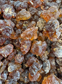 Thumbnail for Kua Myrrh Socotra Island Yemen (Commiphora kua)