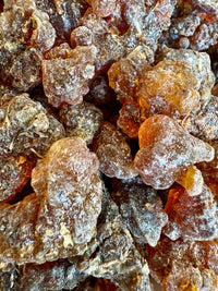 Thumbnail for Kua Myrrh Socotra Island Yemen (Commiphora kua)