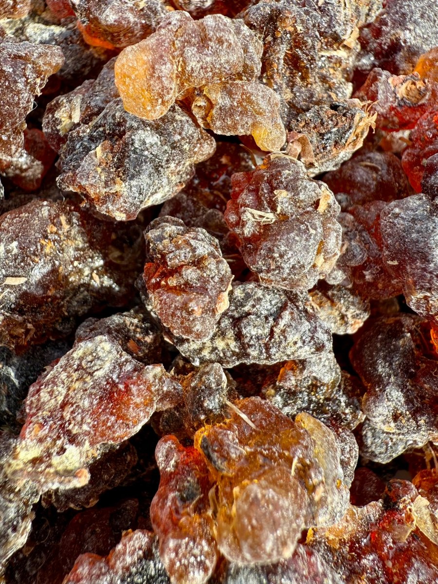 Kua Myrrh Socotra Island Yemen (Commiphora kua)