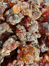 Thumbnail for Kua Myrrh Socotra Island Yemen (Commiphora kua)