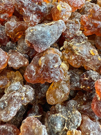 Thumbnail for Kua Myrrh Socotra Island Yemen (Commiphora kua)