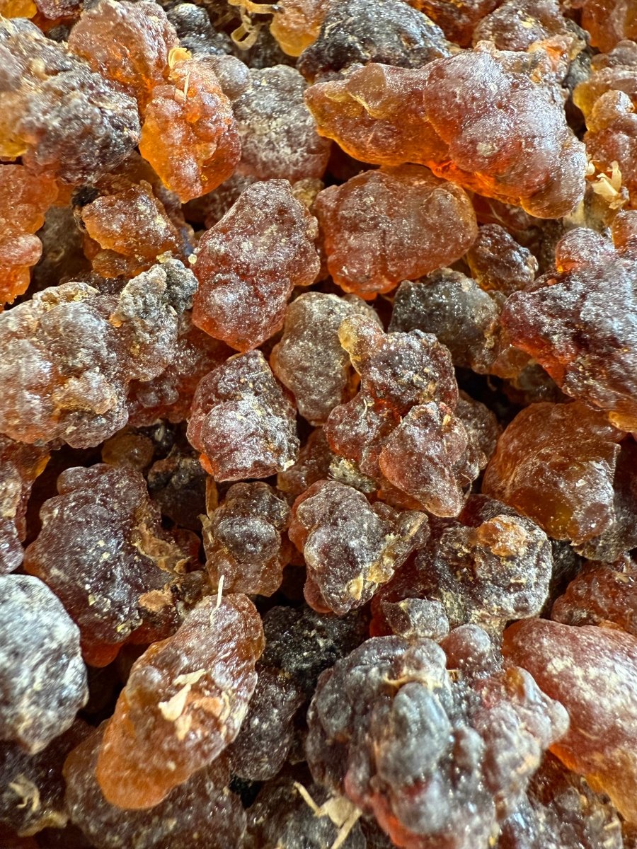 Kua Myrrh Socotra Island Yemen (Commiphora kua)