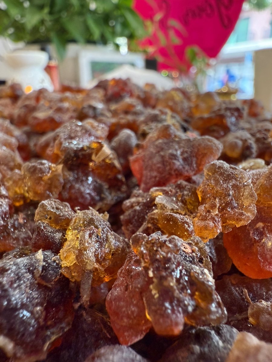 Kua Myrrh Socotra Island Yemen (Commiphora kua)