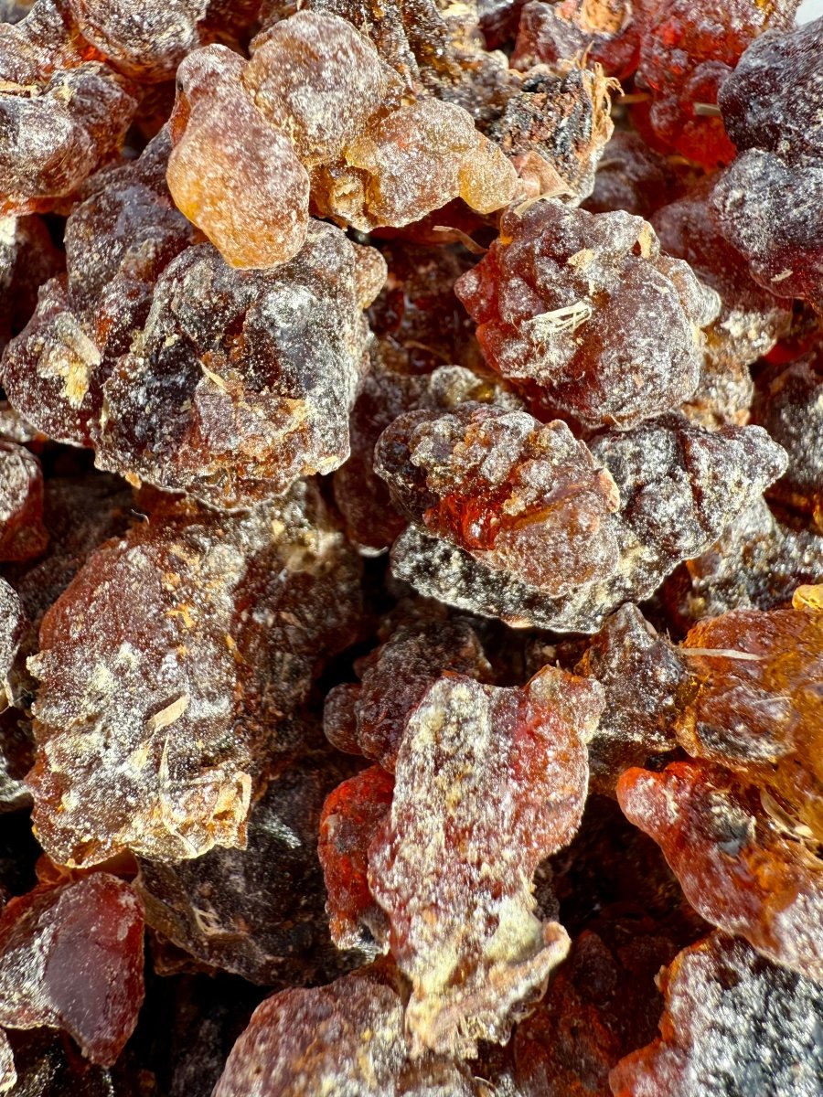 Kua Myrrh Socotra Island Yemen (Commiphora kua)