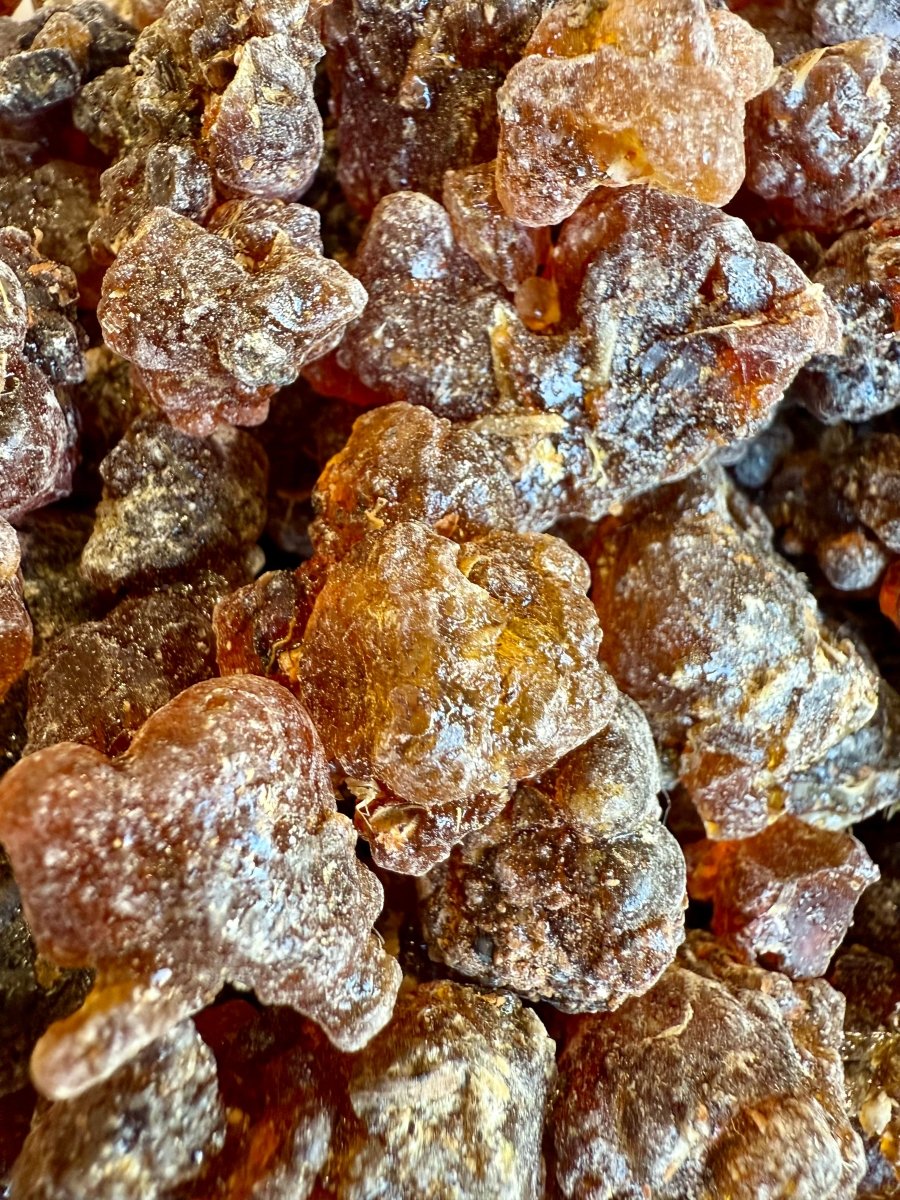 Kua Myrrh Socotra Island Yemen (Commiphora kua)