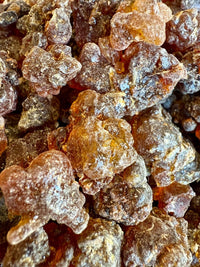 Thumbnail for Kua Myrrh Socotra Island Yemen (Commiphora kua)