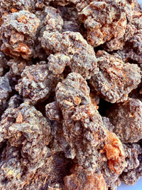 Thumbnail for Opoponax Hagar Sweet Myrrh from Somalia (Commiphora Erythraea)