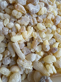 Thumbnail for Papyrifera Frankincense Sudan (Boswellia Papyrifera)