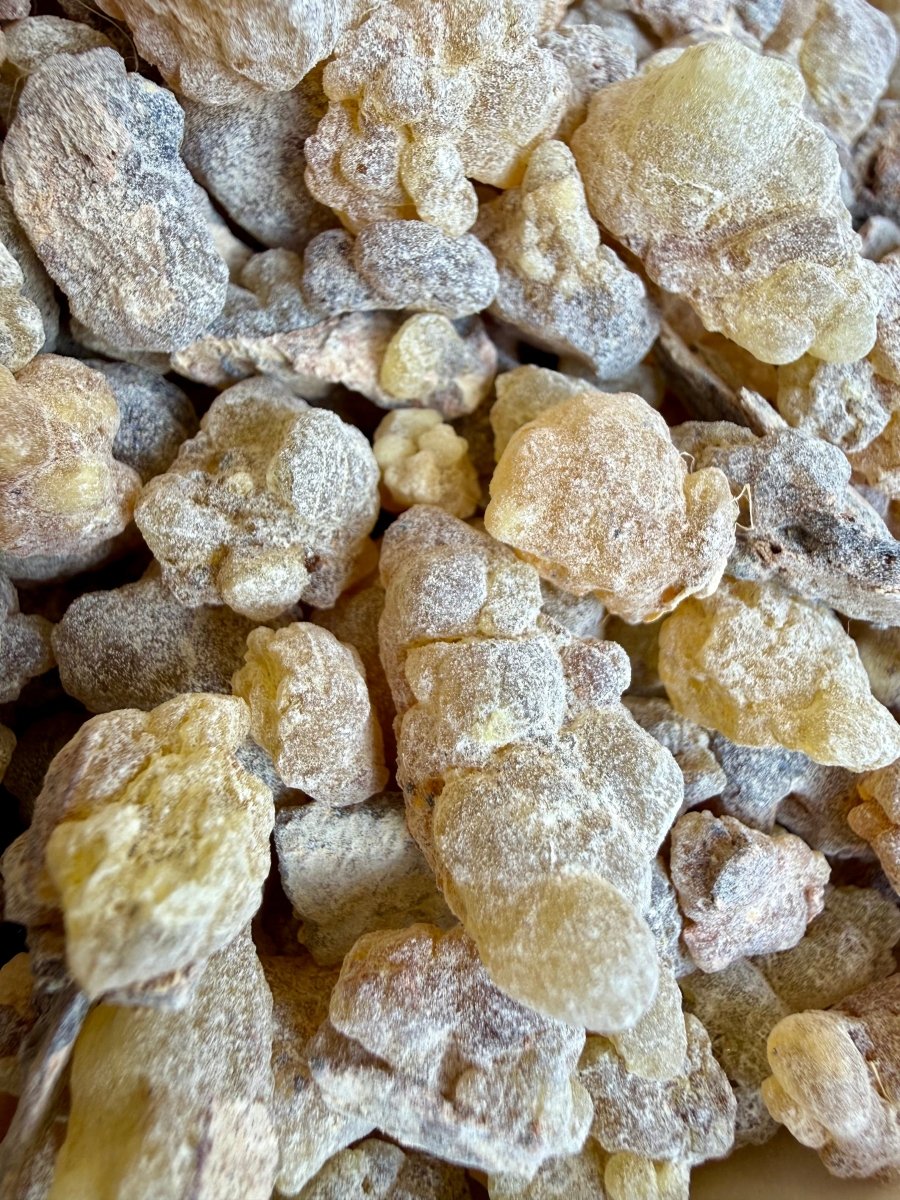 Papyrifera Frankincense Sudan (Boswellia Papyrifera)