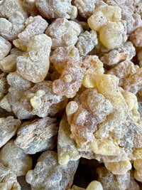 Thumbnail for Papyrifera Frankincense Sudan (Boswellia Papyrifera)