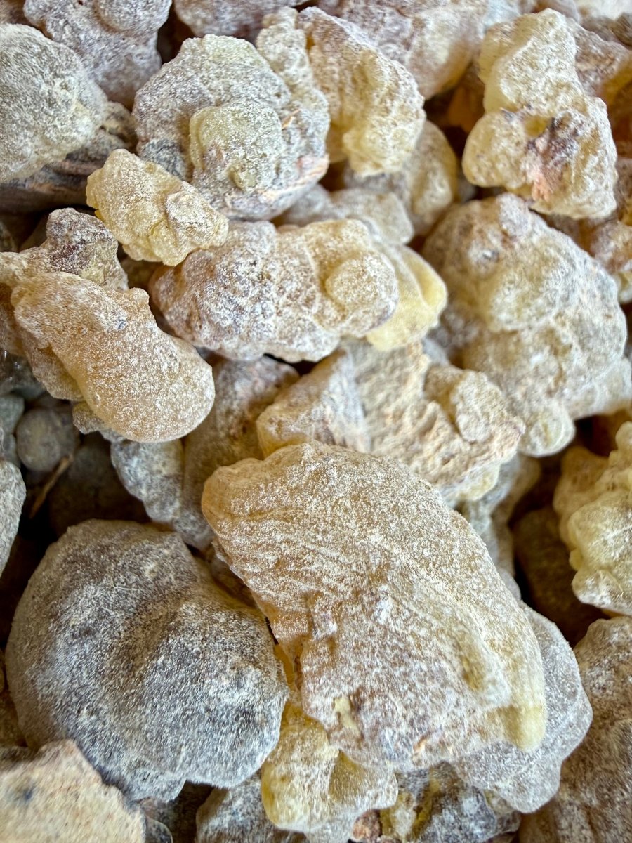 Papyrifera Frankincense Sudan (Boswellia Papyrifera)
