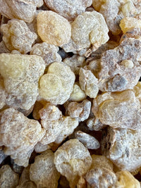 Thumbnail for Papyrifera Frankincense Sudan (Boswellia Papyrifera)