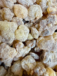 Thumbnail for Papyrifera Frankincense Sudan (Boswellia Papyrifera)