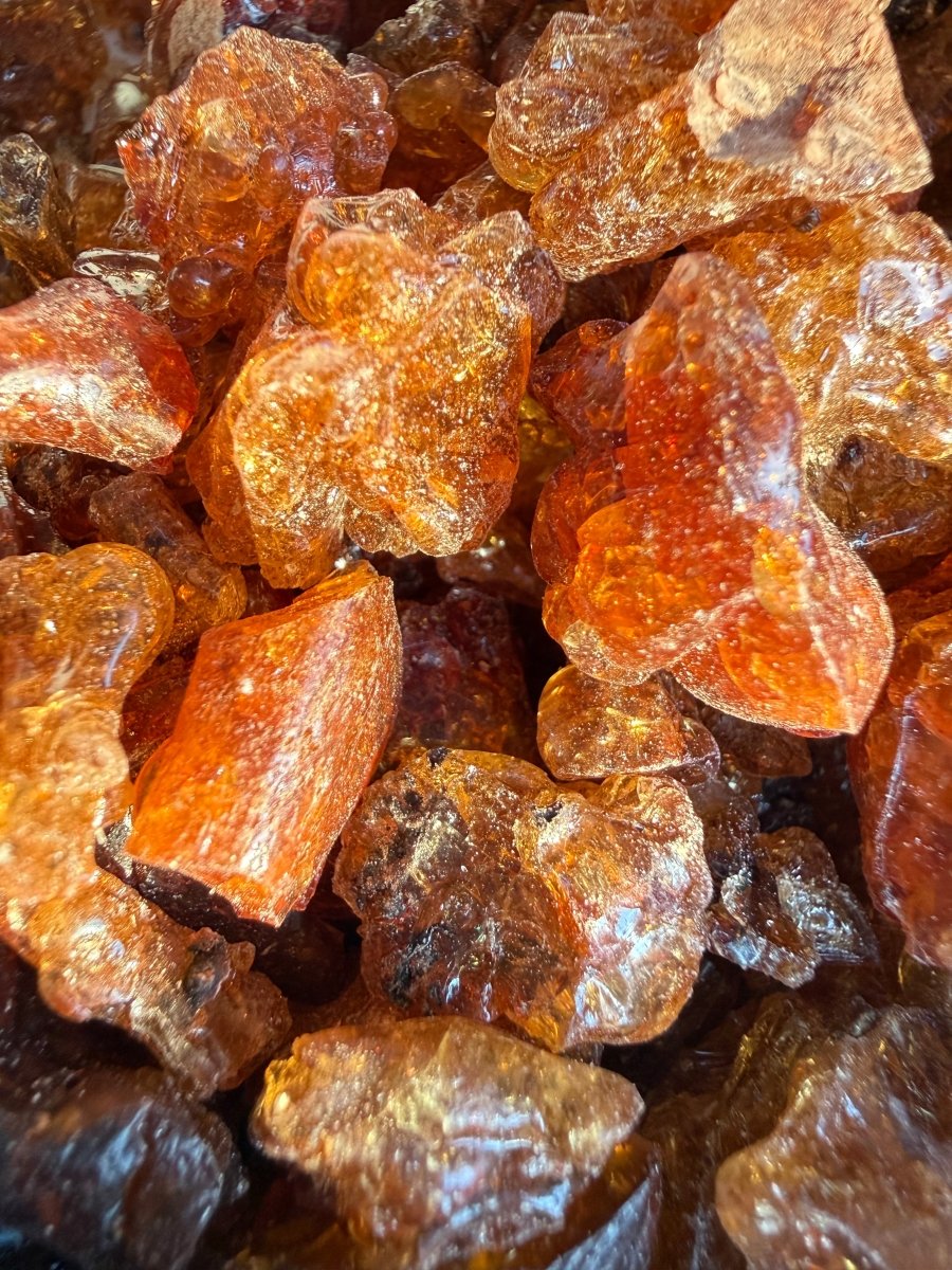 Parvifolia Myrrh Socotra Island Yemen (Commiphora Parvifolia)