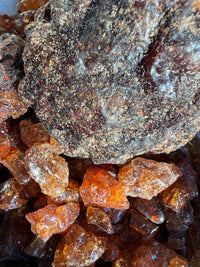 Thumbnail for Parvifolia Myrrh Socotra Island Yemen (Commiphora Parvifolia)