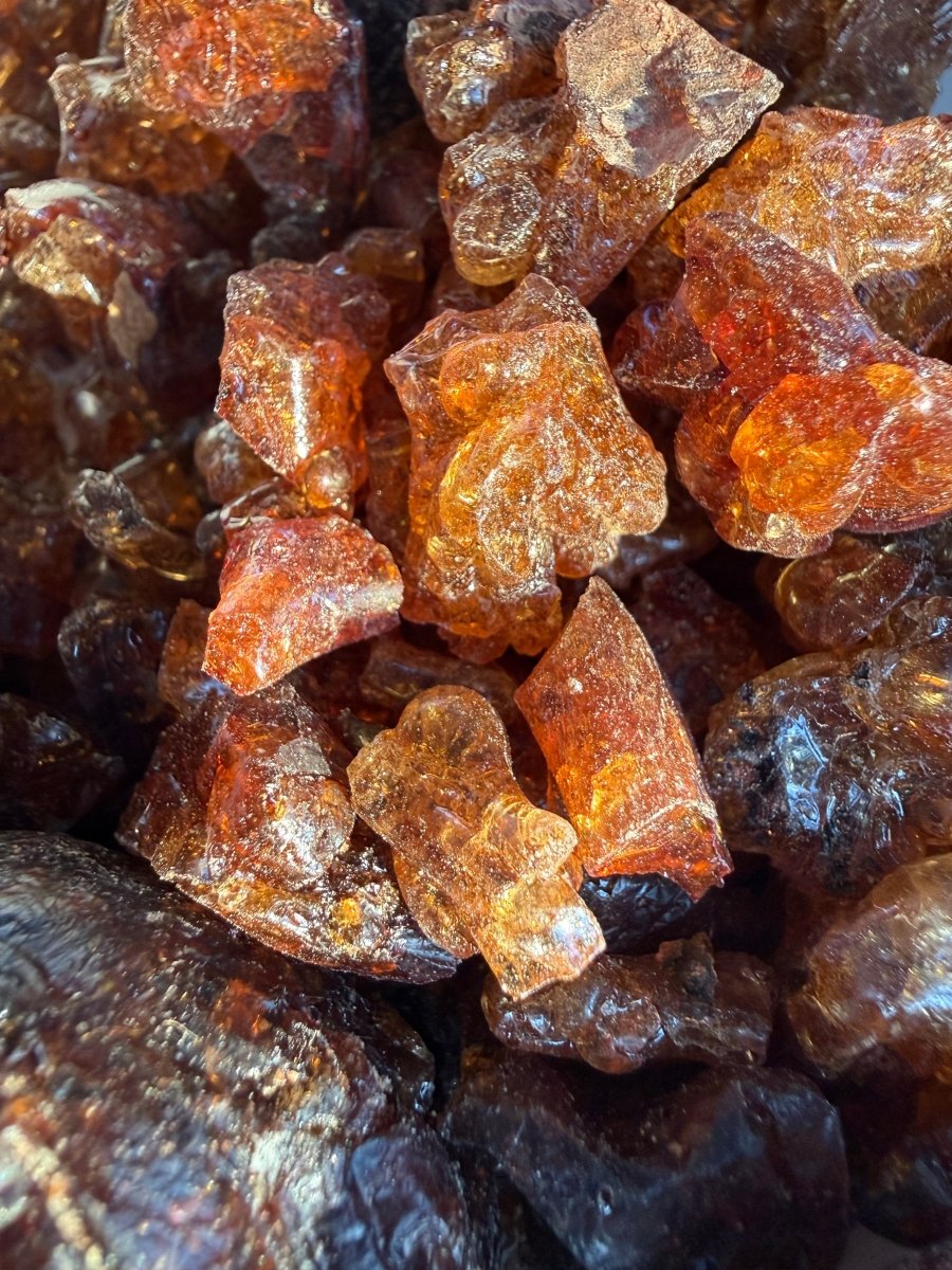 Parvifolia Myrrh Socotra Island Yemen (Commiphora Parvifolia)