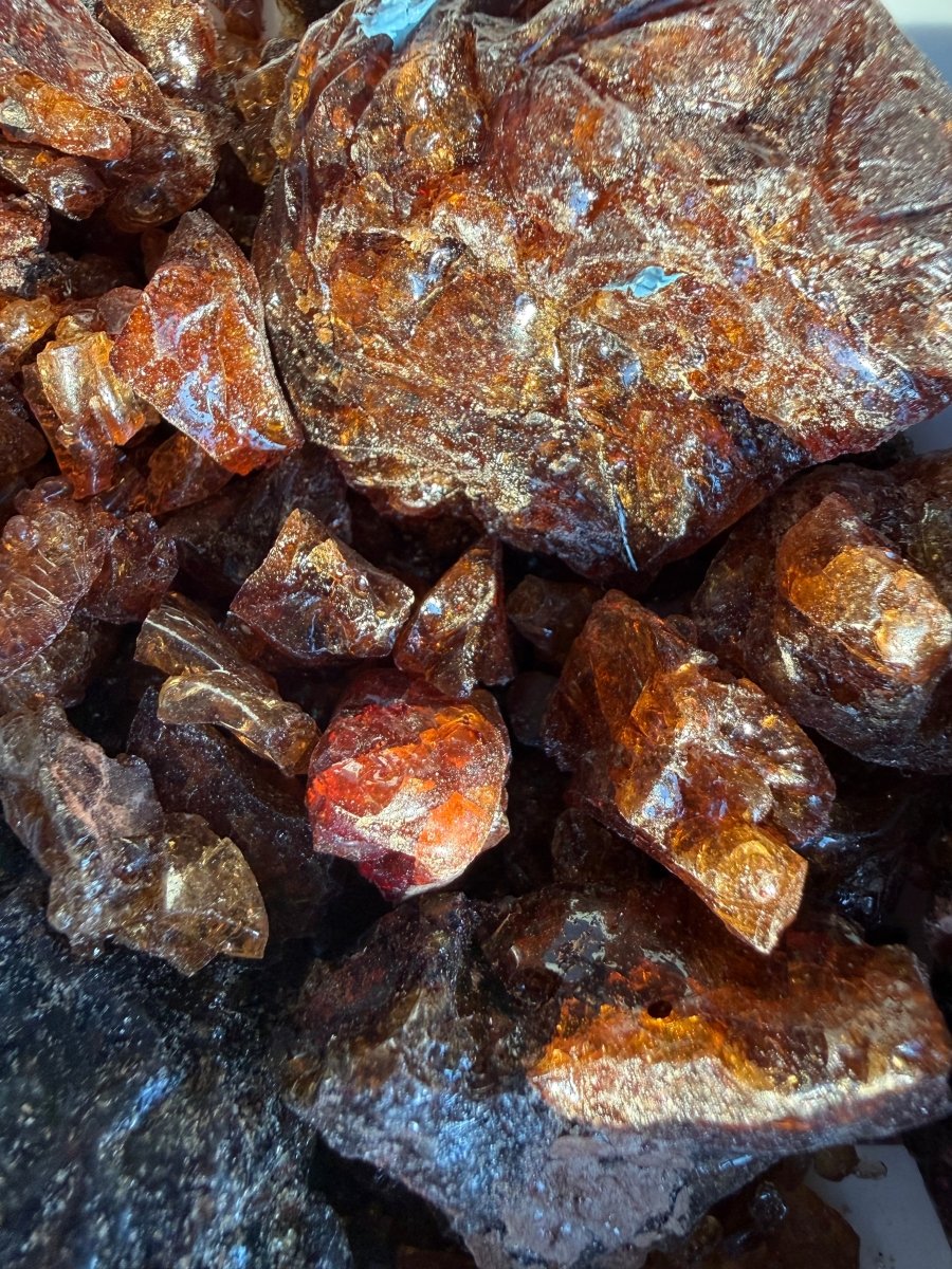 Parvifolia Myrrh Socotra Island Yemen (Commiphora Parvifolia)