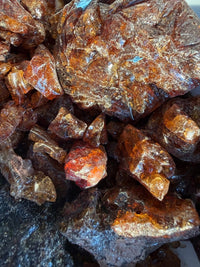 Thumbnail for Parvifolia Myrrh Socotra Island Yemen (Commiphora Parvifolia)