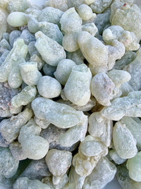 Thumbnail for ⭐️ RARE ⭐️ Sultan Royal Hojari Frankincense Oman (Boswellia Sacra)
