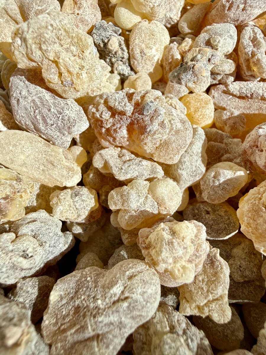 Red Royal Sacra Frankincense Yemen (Boswellia Sacra)