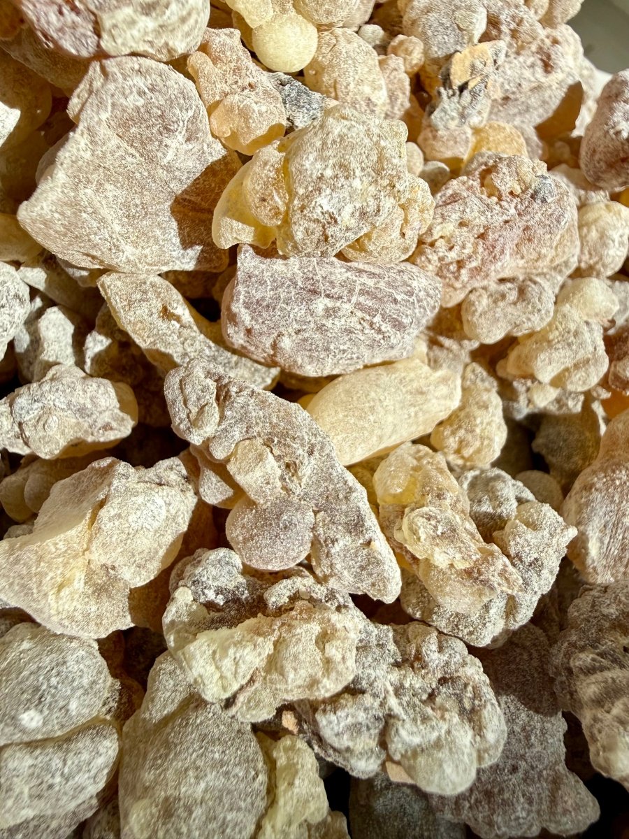Red Royal Sacra Frankincense Yemen (Boswellia Sacra)