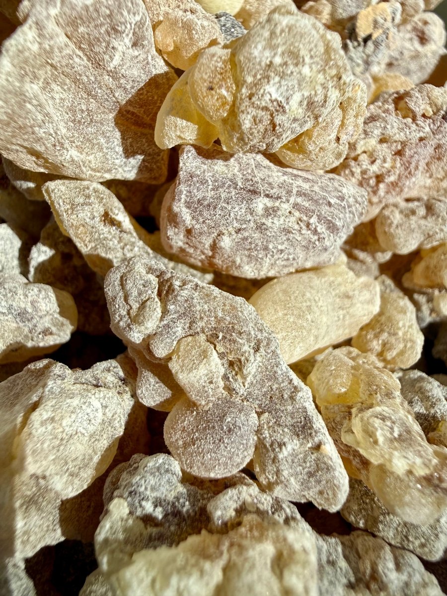 Red Royal Sacra Frankincense Yemen (Boswellia Sacra)