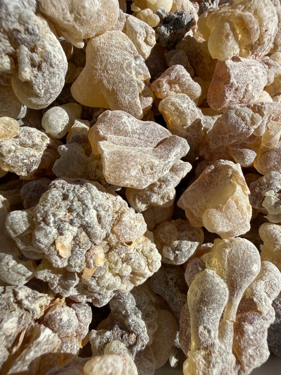 Red Royal Sacra Frankincense Yemen (Boswellia Sacra)