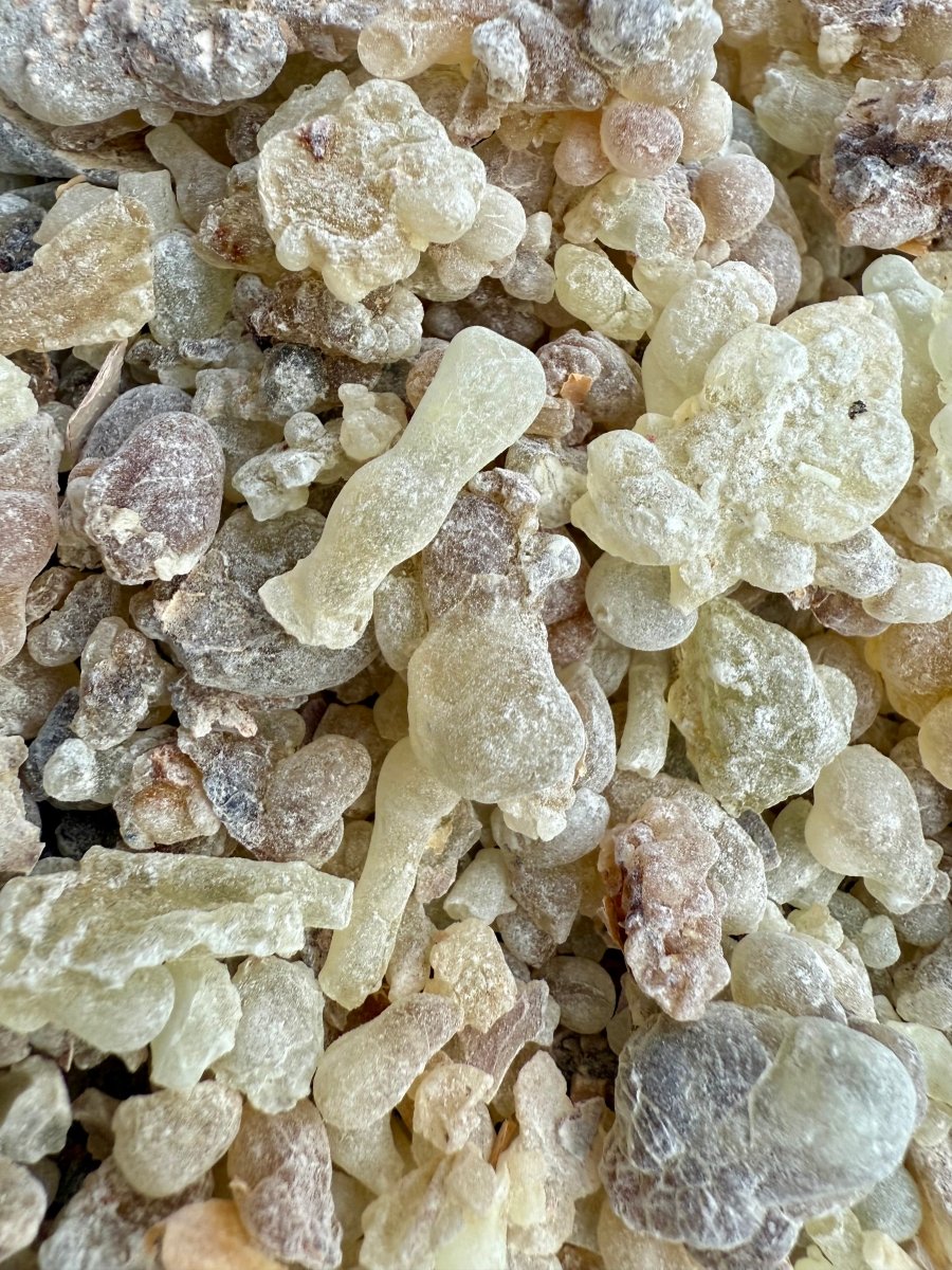 Royal Green Hojari Frankincense Oman (Boswellia Sacra)