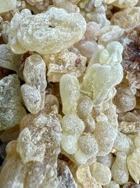 Thumbnail for Royal Green Hojari Frankincense Oman (Boswellia Sacra)