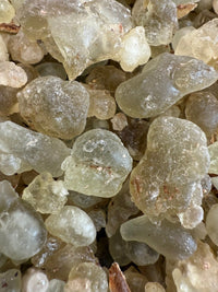 Thumbnail for Royal Green Hojari Frankincense Oman (Boswellia Sacra)